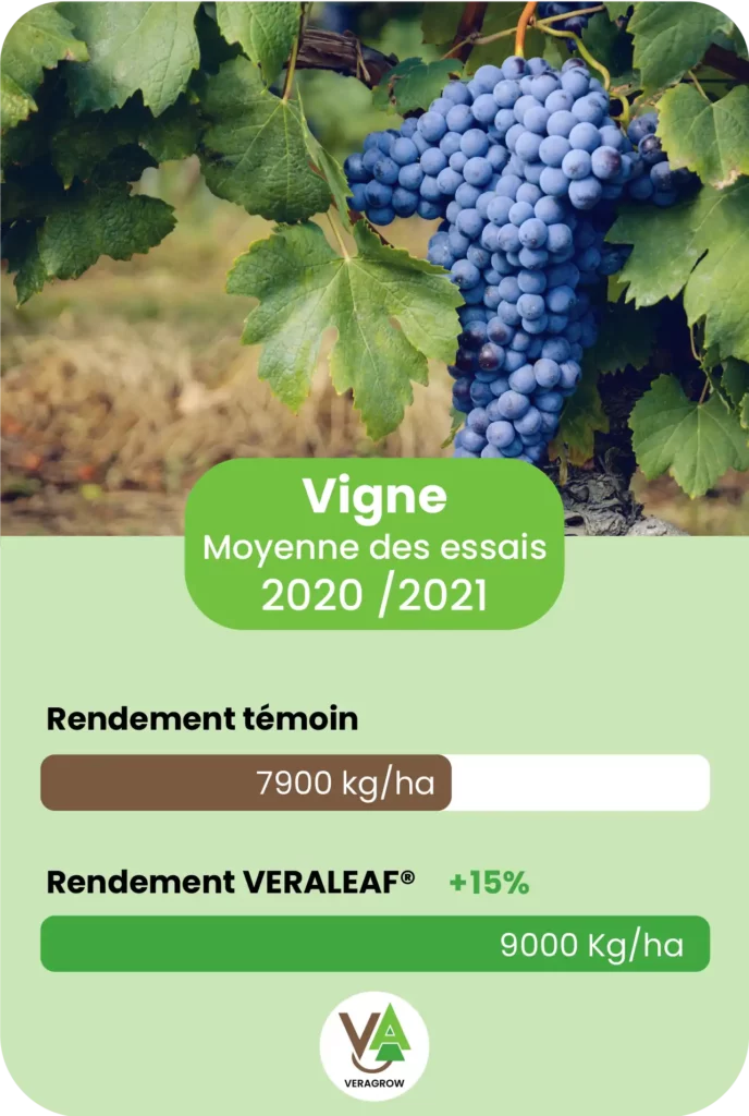 Résultat d'essai agronomique de Veraleaf sur la culture de vigne sur la saison 2021
