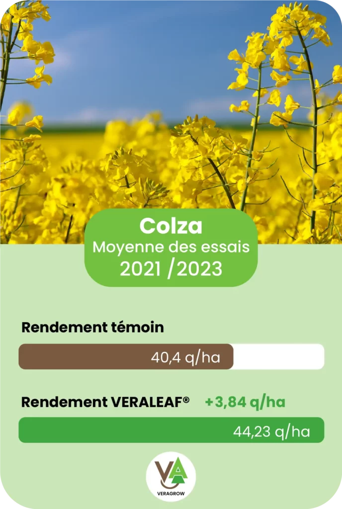 Résultat d'essai agronomique sur le Colza saison 2023