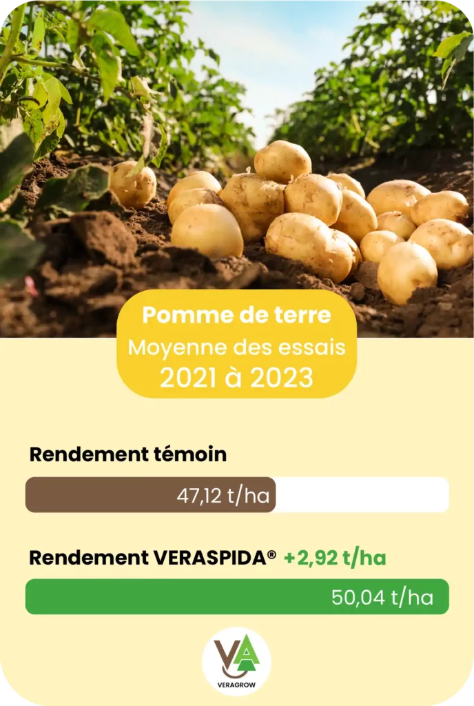 Résultat d'essai agronomique de Veraspida sur la culture de pomme de terre sur la saison 2023