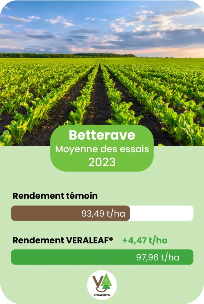 Résultat d'essai agronomique de Veraleaf sur la culture de Betterave sur la saison 2023