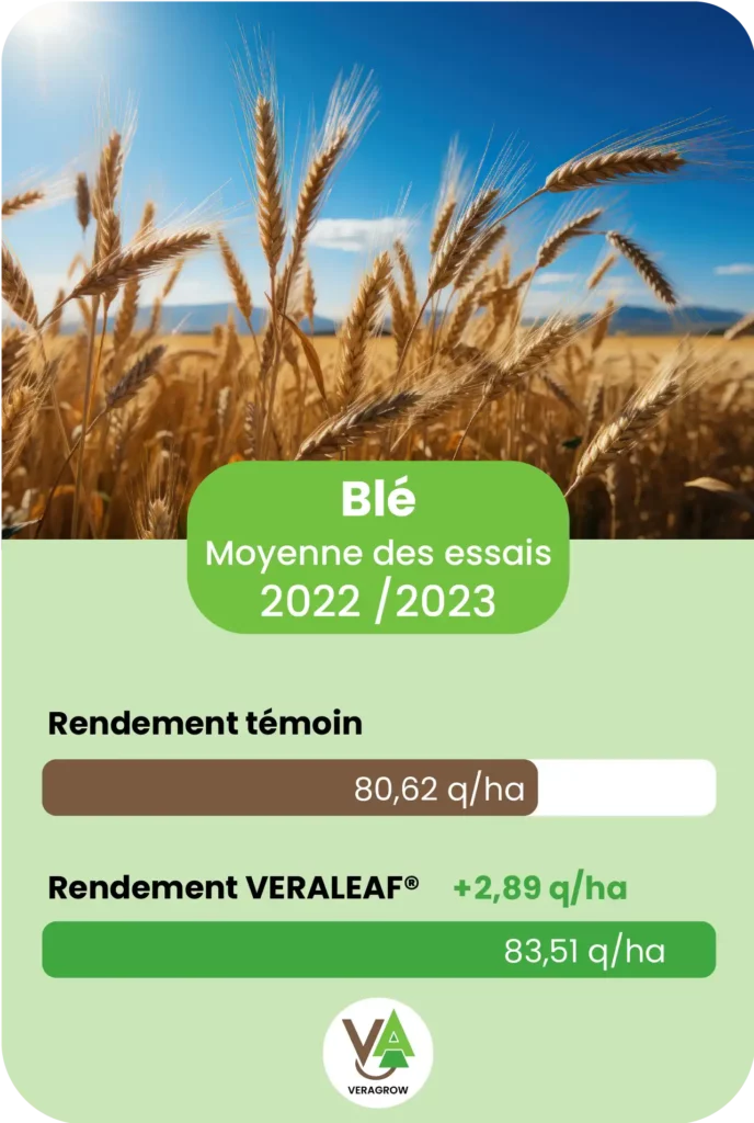 Résultat d'essai agronomique de Veraleaf sur la culture de céréales de blé sur la saison 2023