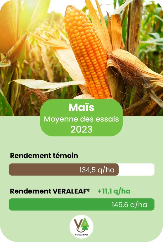 Résultat d'essai agronomique sur la culture de Maïs sur la saison 2023