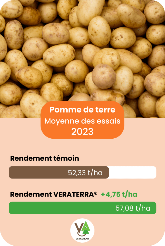 Résultat d'essai agronomique de Veraterra sur la culture de pomme de terre sur la saison 2023
