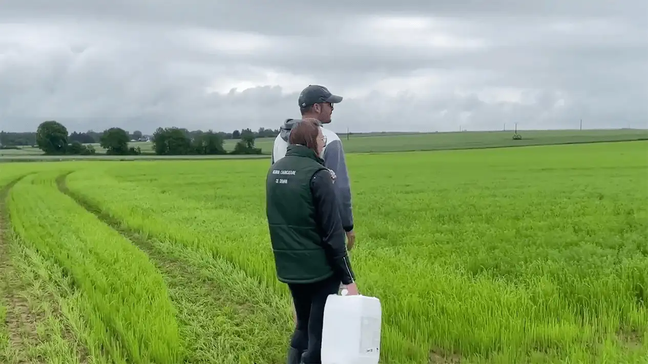 Un agriculteur et une ingénieure agricole observe les effets des biostimulants sur un champ de lin