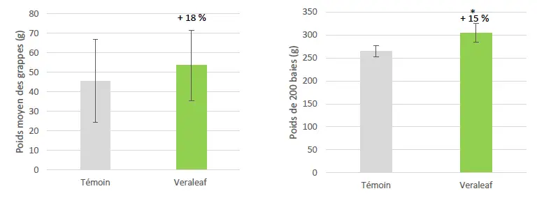 Schéma des résultats d'essais agronimiques observés sur culture viticole en Normandie.