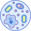 micro-organisme